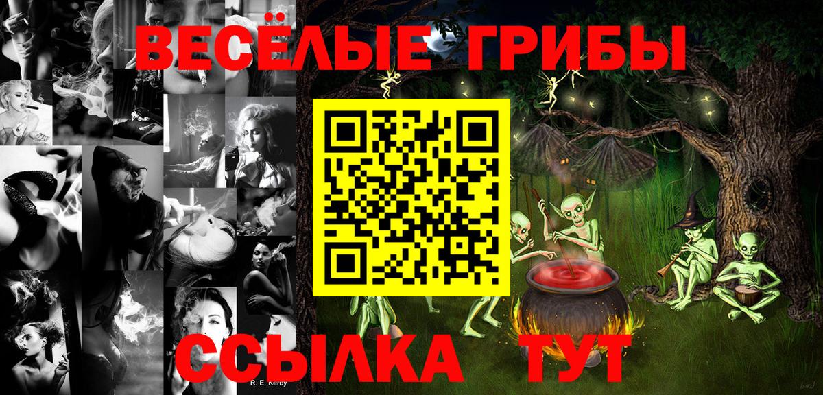 Псилоцибиновые грибы ЛСД Горно-Алтайск
