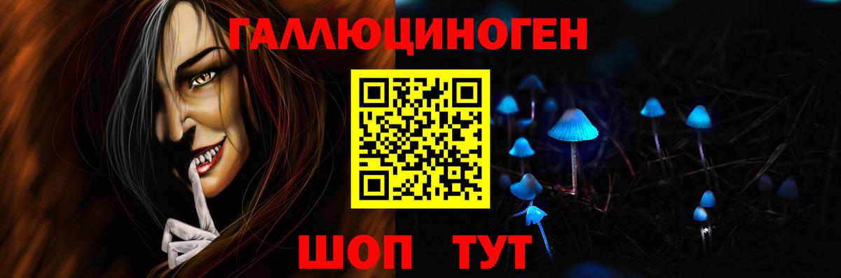 Горно-Алтайск  Псилоцибиновые грибы мицелий  Псилоцибиновые грибы Psilocybe  Вход с VPN 